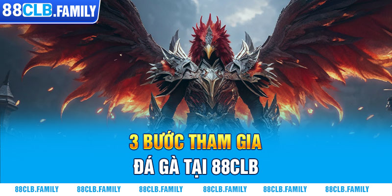 3 bước tham gia đá gà tại 88CLB