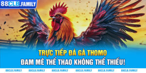 Trực Tiếp Đá Gà Thomo - Đam Mê Thể Thao Không Thể Thiếu!